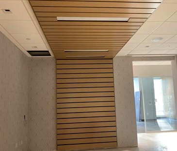 Acoustical-Ceiling - feature